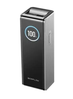 Павербанк EcoFlow RAPID Power Bank 25000mAh серебристый