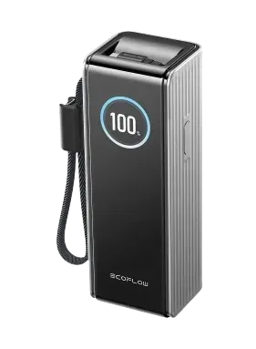 Павербанк EcoFlow RAPID Power Bank с кабелями 25000mAh серебристый