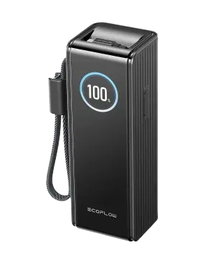 Павербанк EcoFlow RAPID Power Bank с кабелями 25000mAh черный